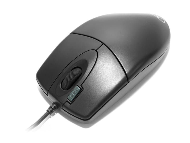 product_12447_image_19957.jpg