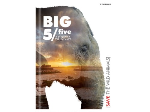 Zeszyt Top 2000 Big 5 Słoń A5 w kratke 80 kartek 70g mix
