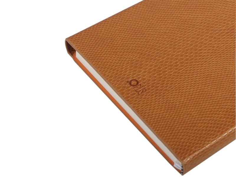 product_16102_image_33156.jpg