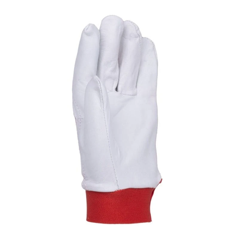 product_44818_image_106239.jpg