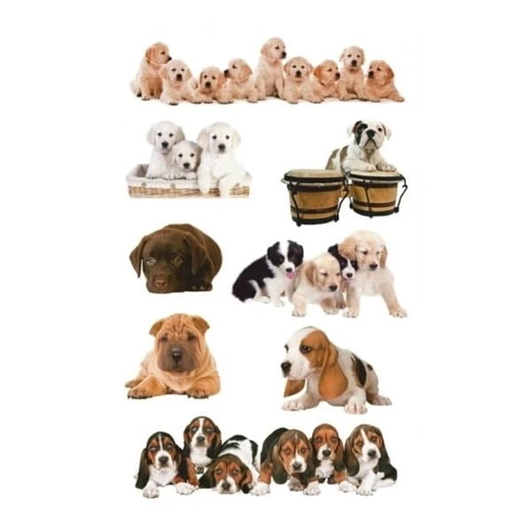 product_43468_image_103610.jpg