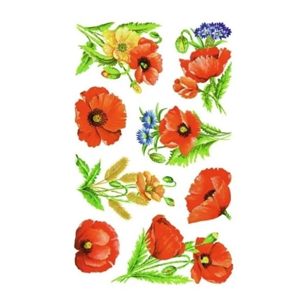 product_43496_image_103666.jpg
