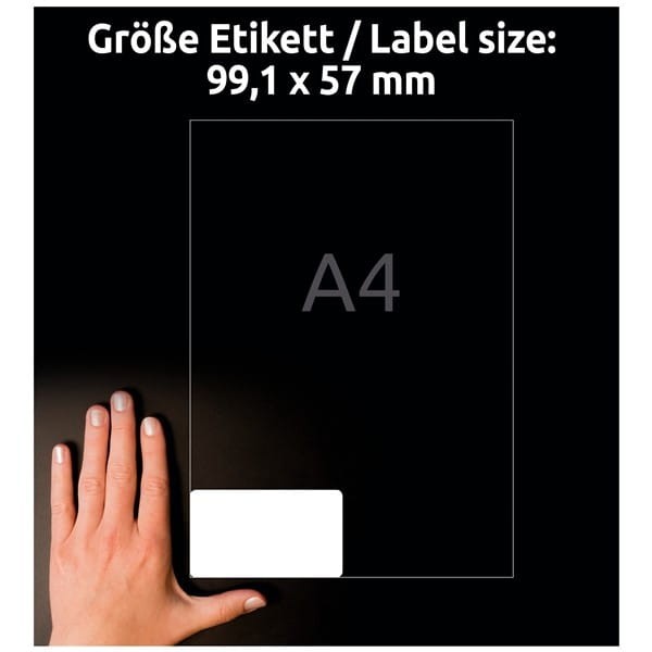 product_42638_image_102018.jpg