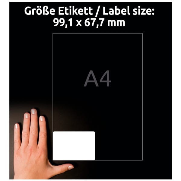product_41935_image_100346.jpg