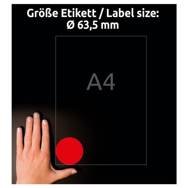 product_42527_image_101830.jpg