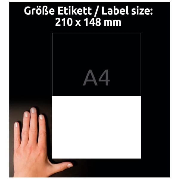 product_41887_image_100077.jpg
