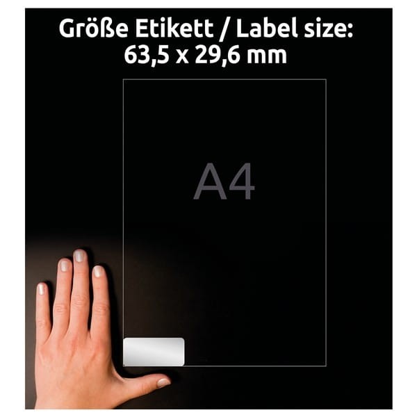 product_42381_image_101508.jpg