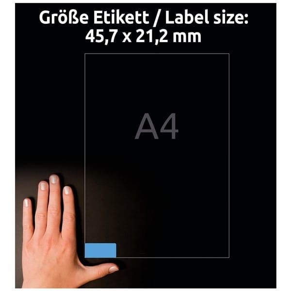 product_42382_image_101513.jpg