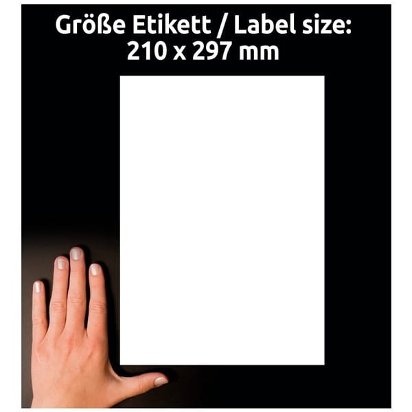 product_41915_image_100244.jpg