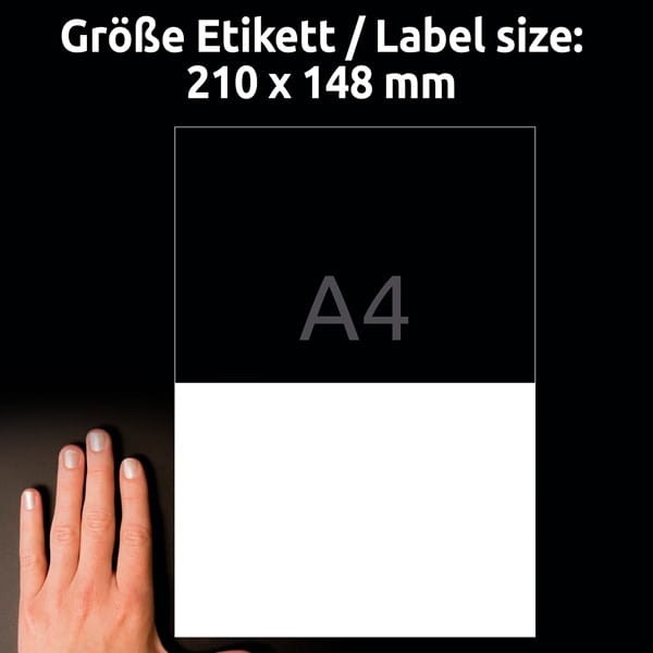 product_41835_image_99845.jpg