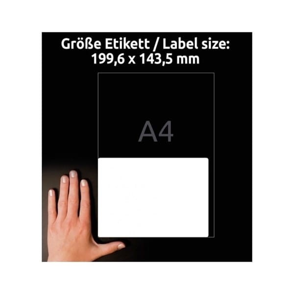 product_42017_image_100719.jpg