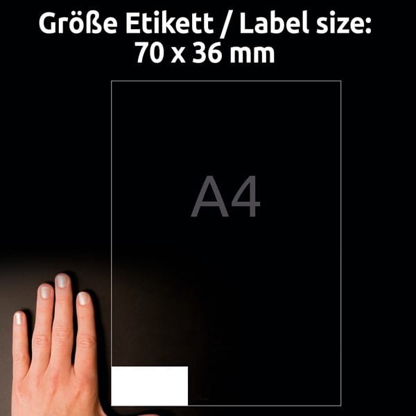 product_42039_image_100816.jpg