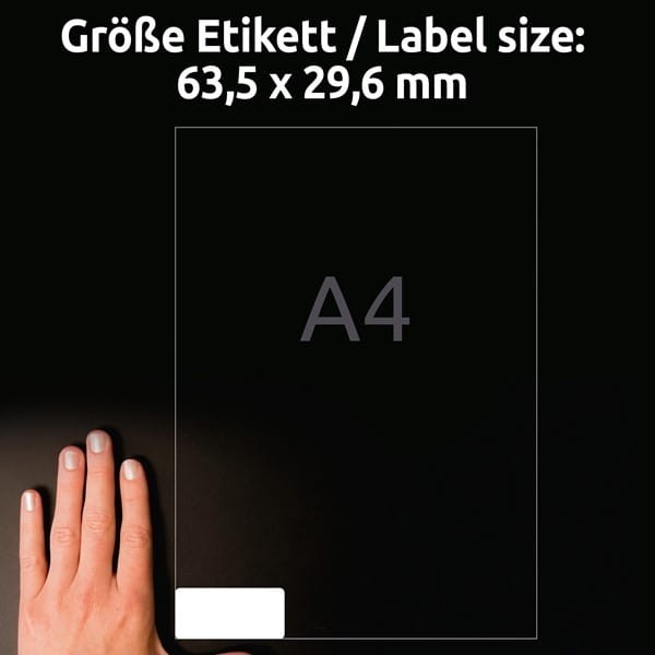 product_42036_image_100801.jpg