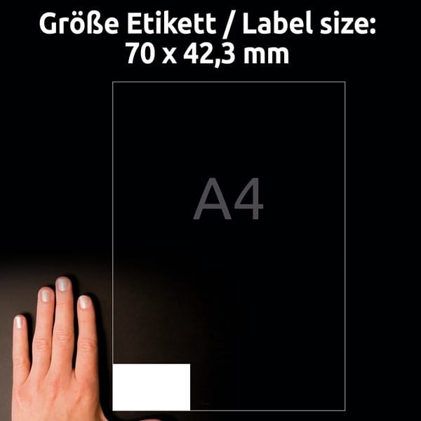 product_42038_image_100811.jpg