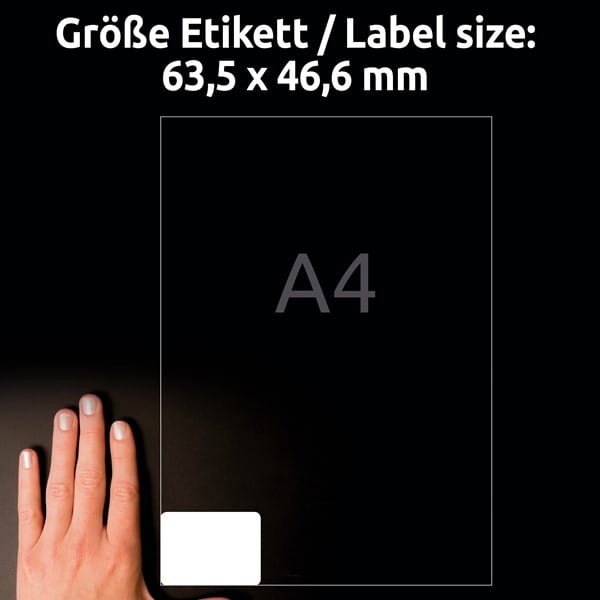 product_42019_image_100729.jpg