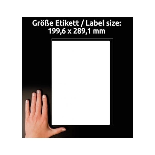 product_42018_image_100724.jpg