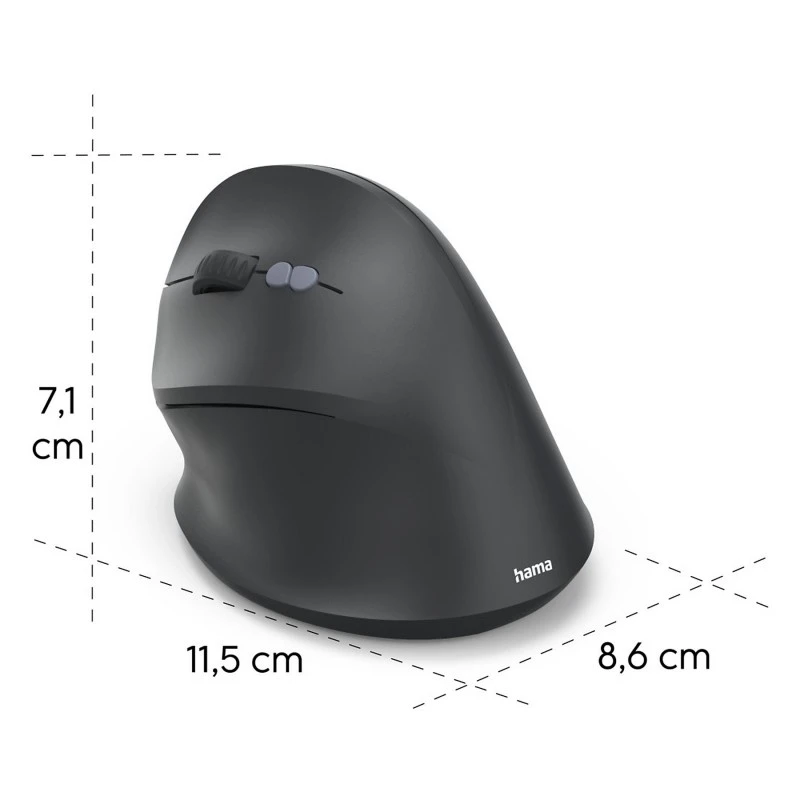 HAM001730890000(3).jpg