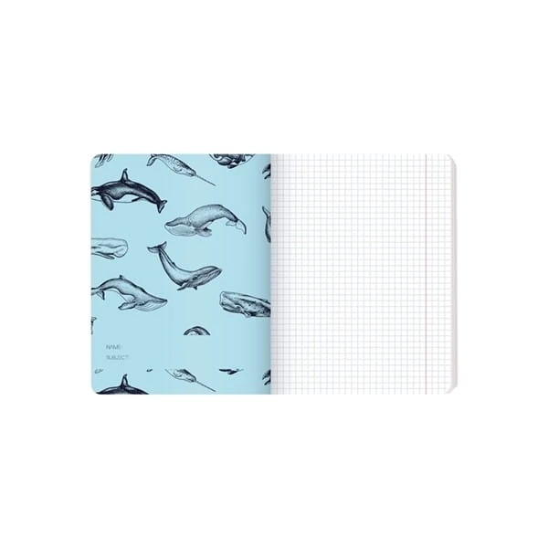 product_34712_image_86237.jpg