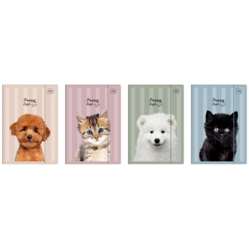 Teczka z gumką A4+ INTERDRUK PUPPY SIGN mix wzorów 1szt.