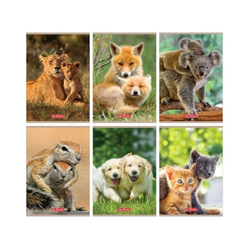 Zeszyt Herlitz Animals A5 w kratkę 16 kartkowy mix