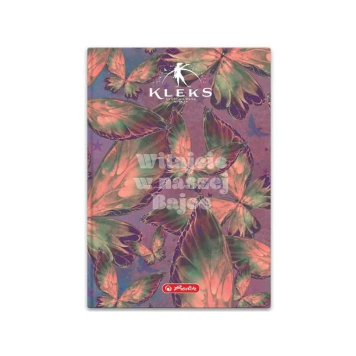 Brulion B5 Herlitz Kleks Raptularz 96 kartek mix wzorów