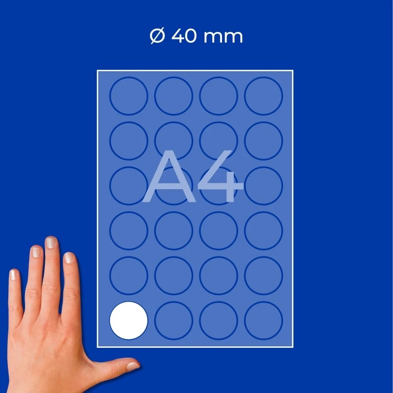 ZW3415(3).jpg